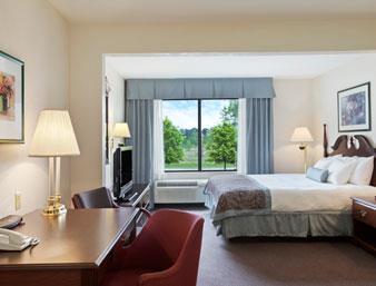 Comfort Inn & Suites Grand Blanc-Flint , MI 48439 near Bishop International Airport View Point 6