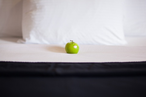 Royal Hotel Calgary, Trademark Collection by Wyndham , AB T2E 8T4 near Calgary International Airport View Point 6