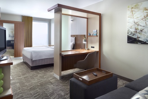 SpringHill Suites by Marriott Atlanta Airport Gateway , GA 30337 near Hartsfield-jackson Atlanta International Airport View Point 18