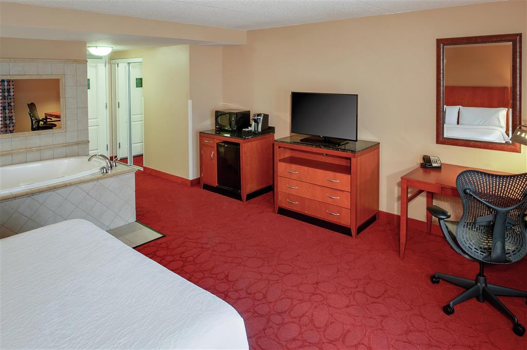 Hilton Garden Inn Chicago O'Hare Airport , IL 60018 near Ohare International Airport View Point 18