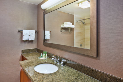 Holiday Inn Washington-Dulles International Airport, an IHG Hotel , VA 20166 near Washington Dulles International Airport View Point 2