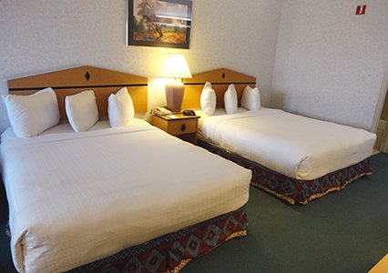 Quality Inn & Suites Denver Airport - Gateway Park , Co 80011 near Denver International Airport (succeeded Stapleton Airport) View Point 3