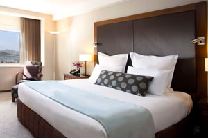 Rittiman Inn & Suites